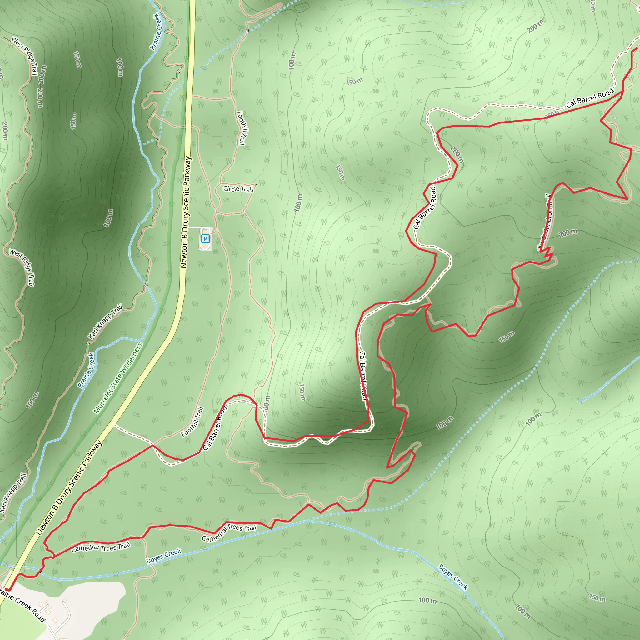 Cathedral Tree, Rhododendron and Cal-Barrel Road Loop Trail mobile static map
