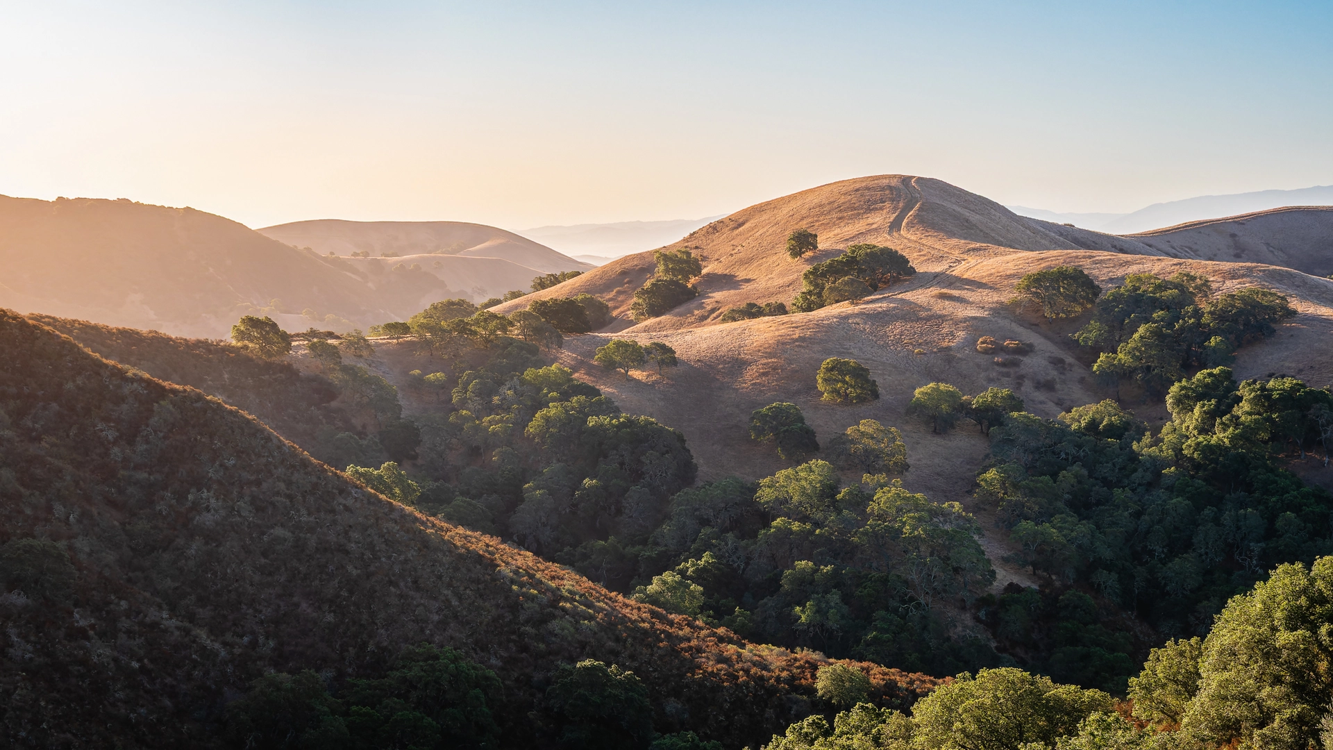 An image depicting the trail Donner Creek and Coulter Pines Loop Trails and its surrounding area.