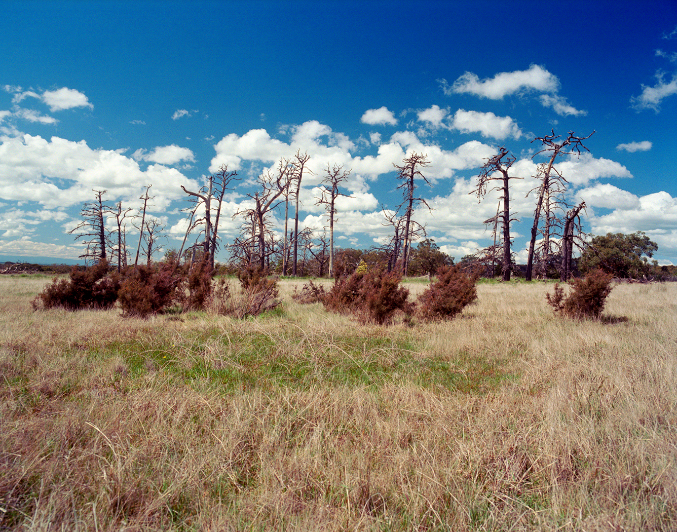 An image depicting the trail French Island National Park and its surrounding area.