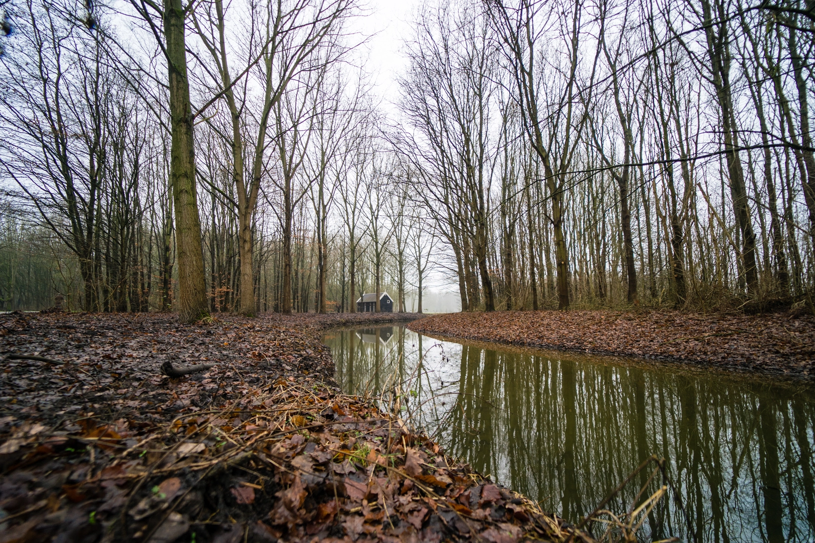 An image depicting the trail Krommenie Assendelft to Halfweg Zwanenbueg via Houtrakpolder and Golfterrein and its surrounding area.