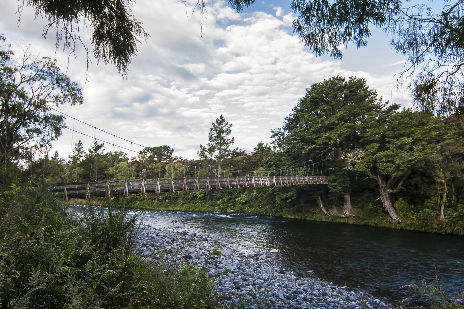 An image depicting the trail Tongariro River Track and its surrounding area.