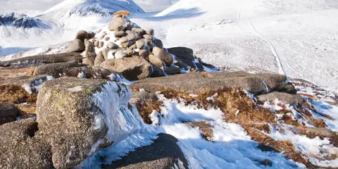 An image depicting the trail Rocky Mountain and its surrounding area.