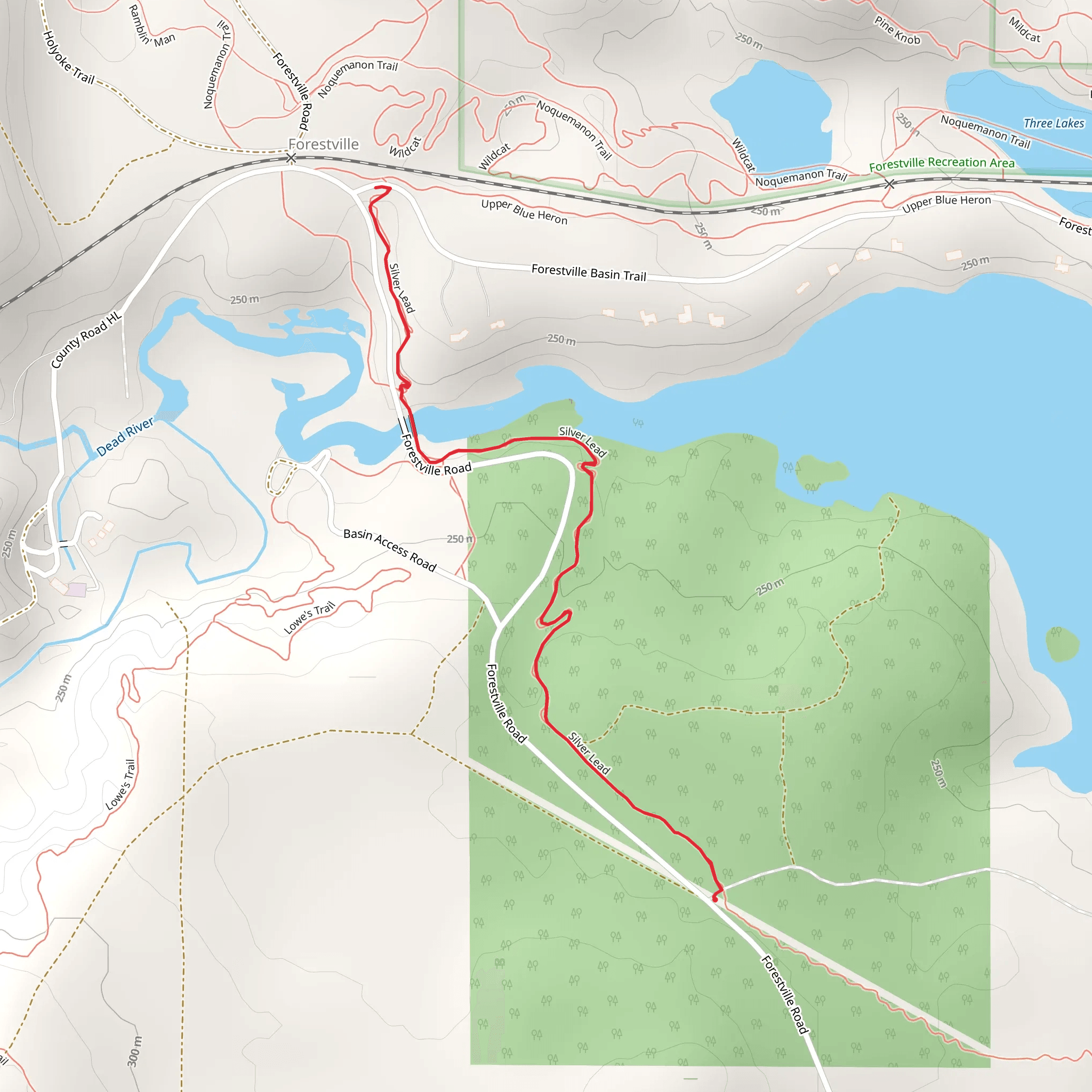 Silver Lead Out and Back mobile static map