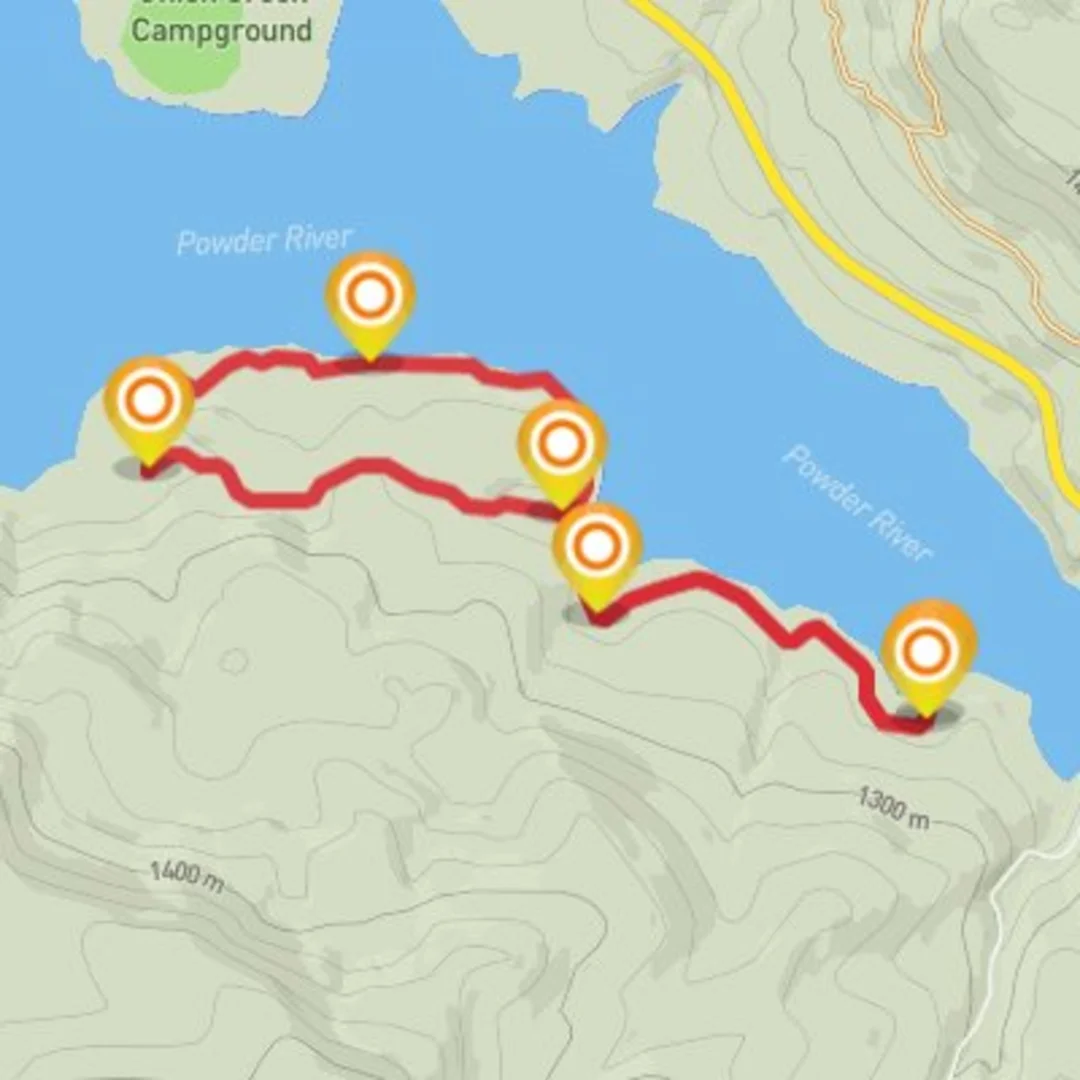 An image depicting the trail Phillips Loop #2 and its surrounding area.