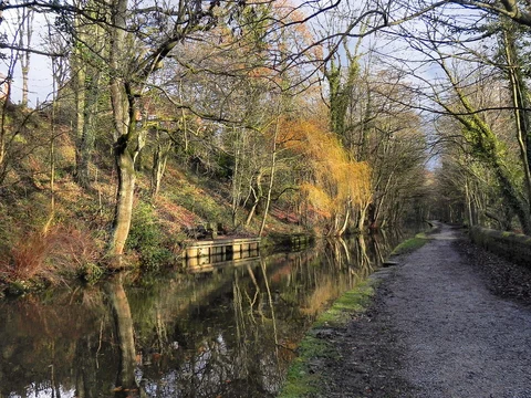 Chadkirk Country Estate Loop