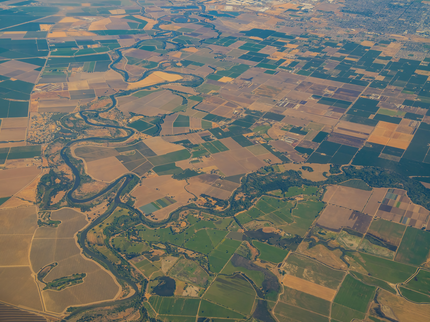 An image depicting the trail Cohen Road and Levee Road and its surrounding area.