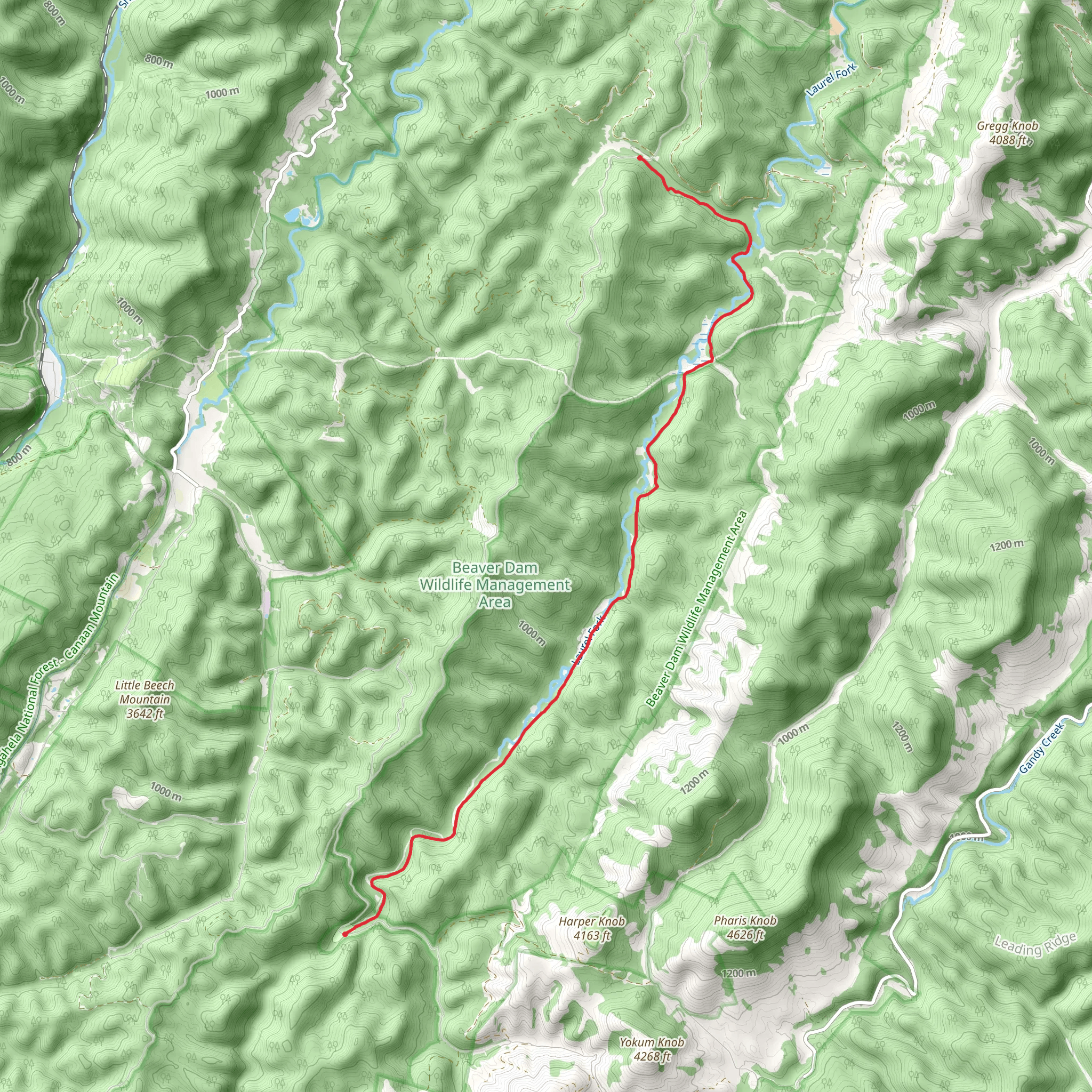 Laurel Fork North Trail mobile static map
