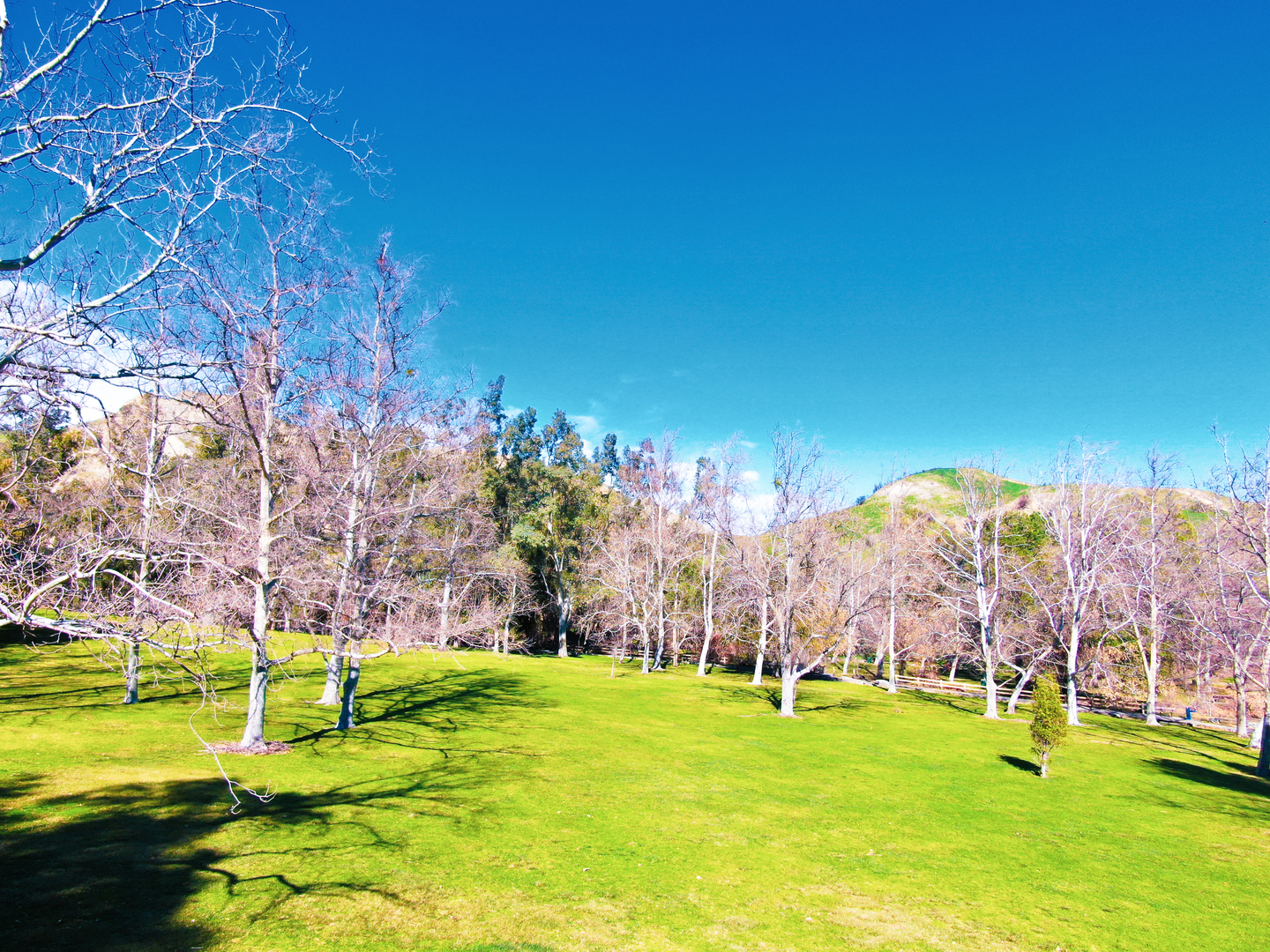 An image depicting the trail Bee Canyon Trail, Mission Point Loop Trail and its surrounding area.