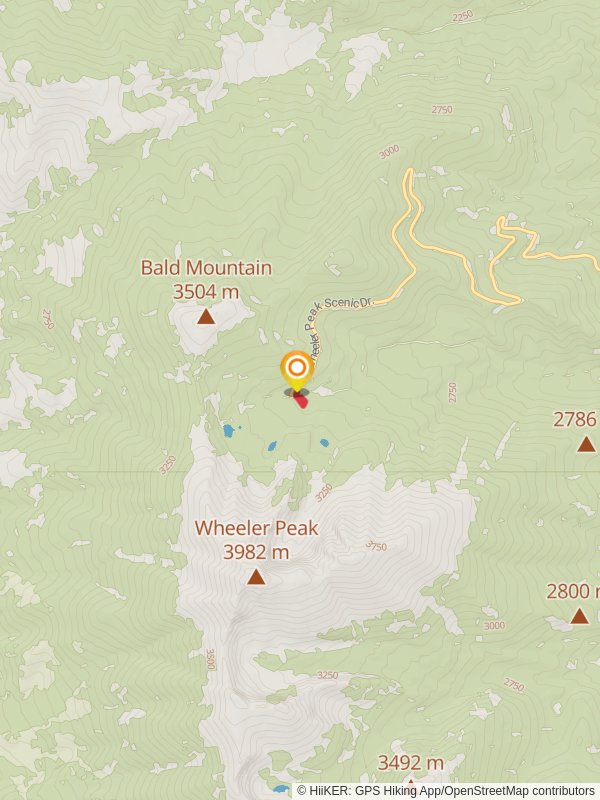 Island Forest Loop Trail