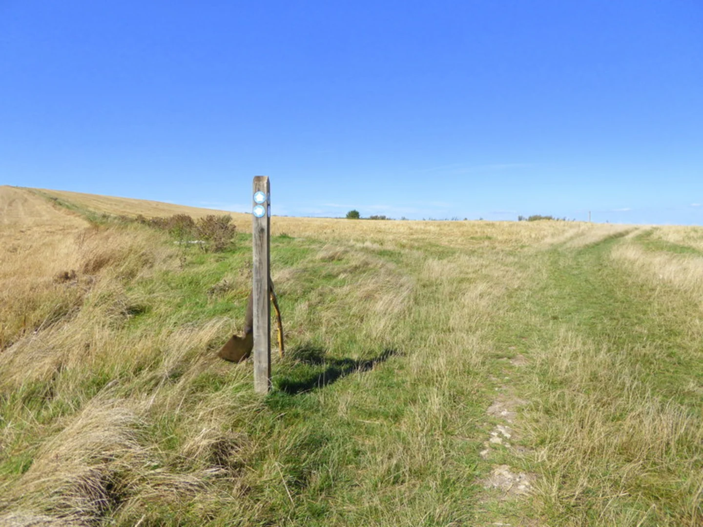 An image depicting the trail Steep Down and Lancing Ring Nature Reserve Loop and its surrounding area.