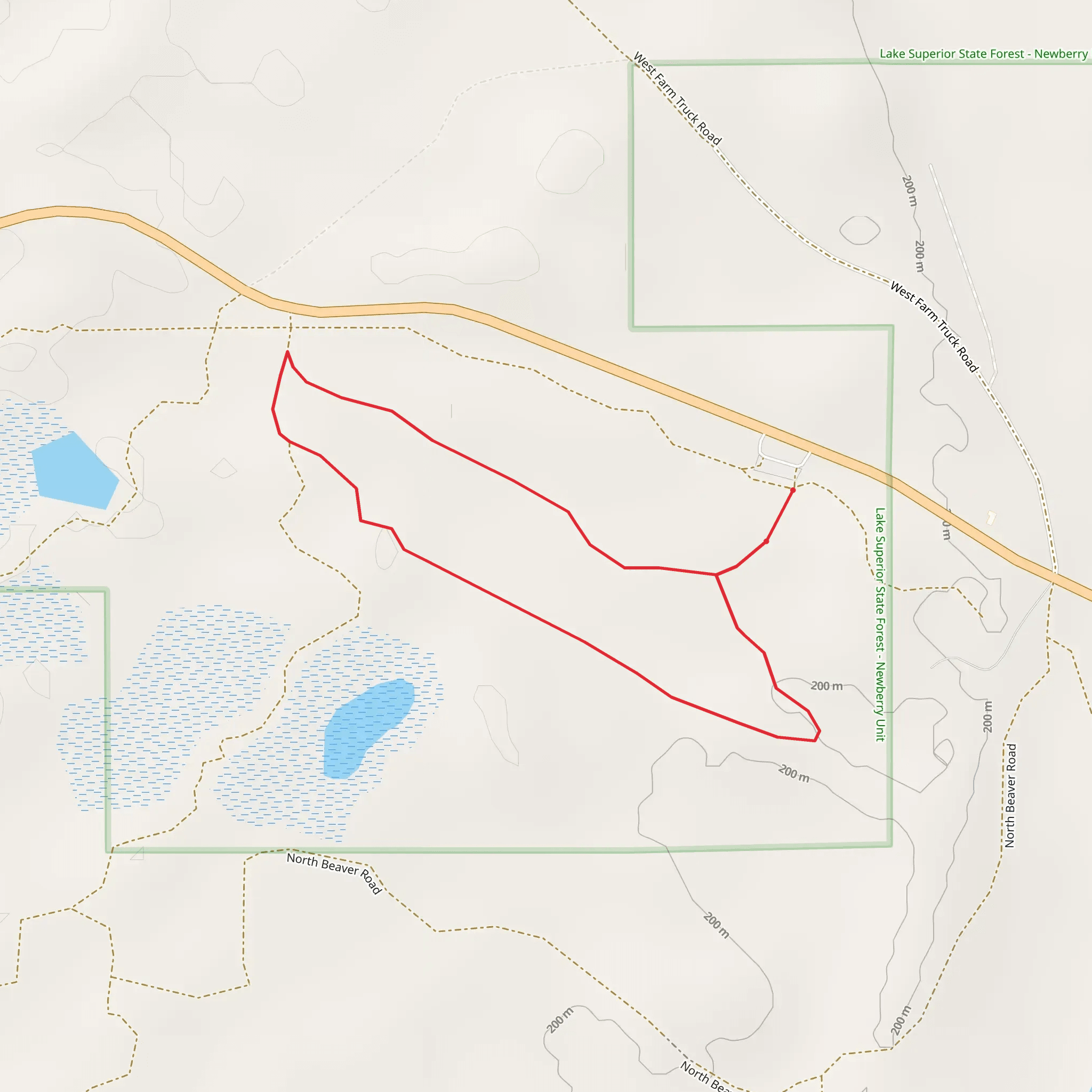 W M 123 Loop Walk mobile static map