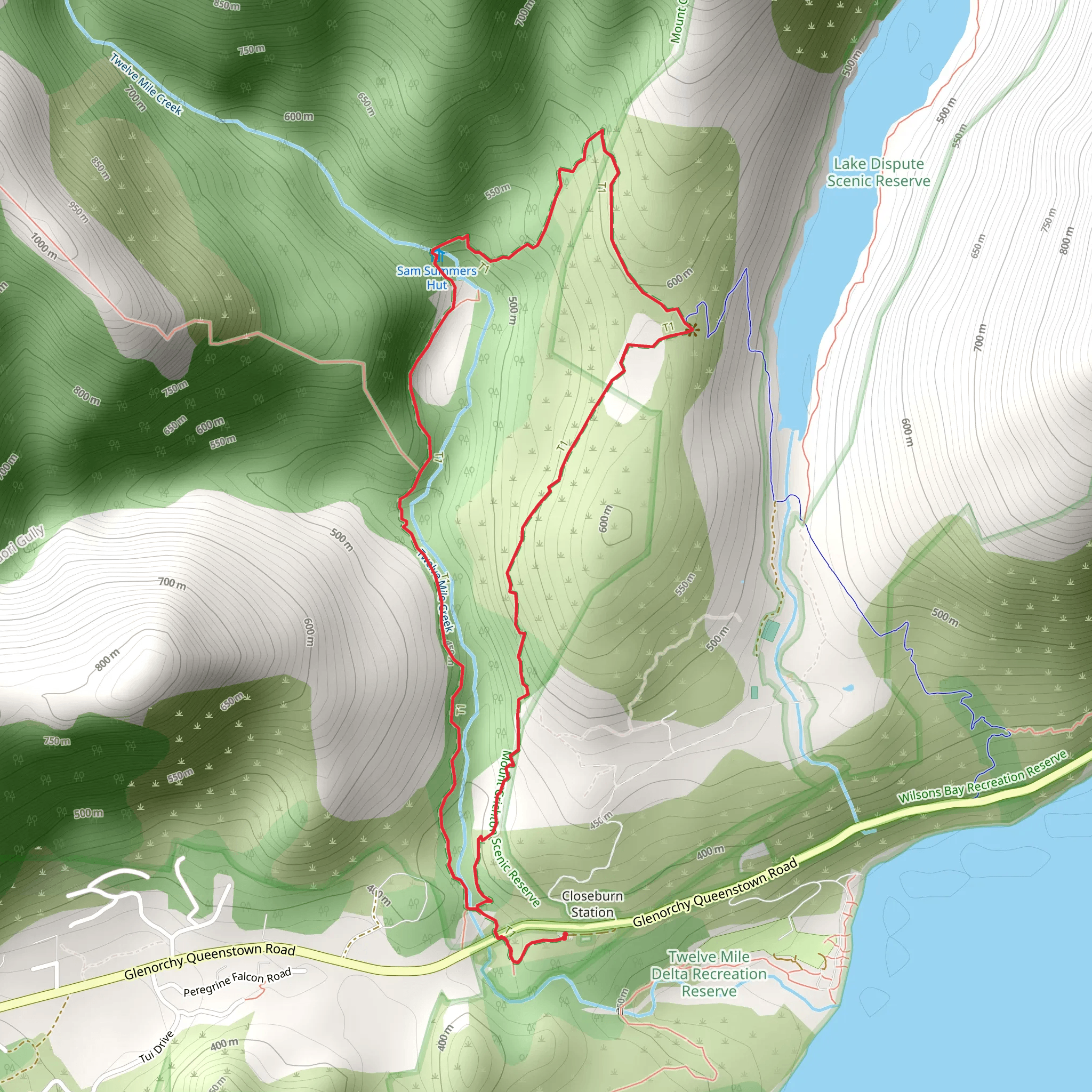 Mt Crichton Loop Track mobile static map