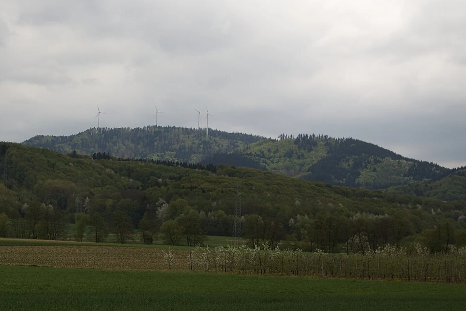 An image depicting the trail Roßkopfweg and Uhlandsteig Loop and its surrounding area.