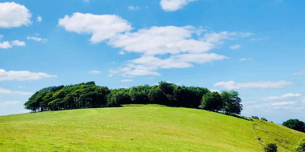 Cissbury Ring and Chanctonbury Ring from Steyning