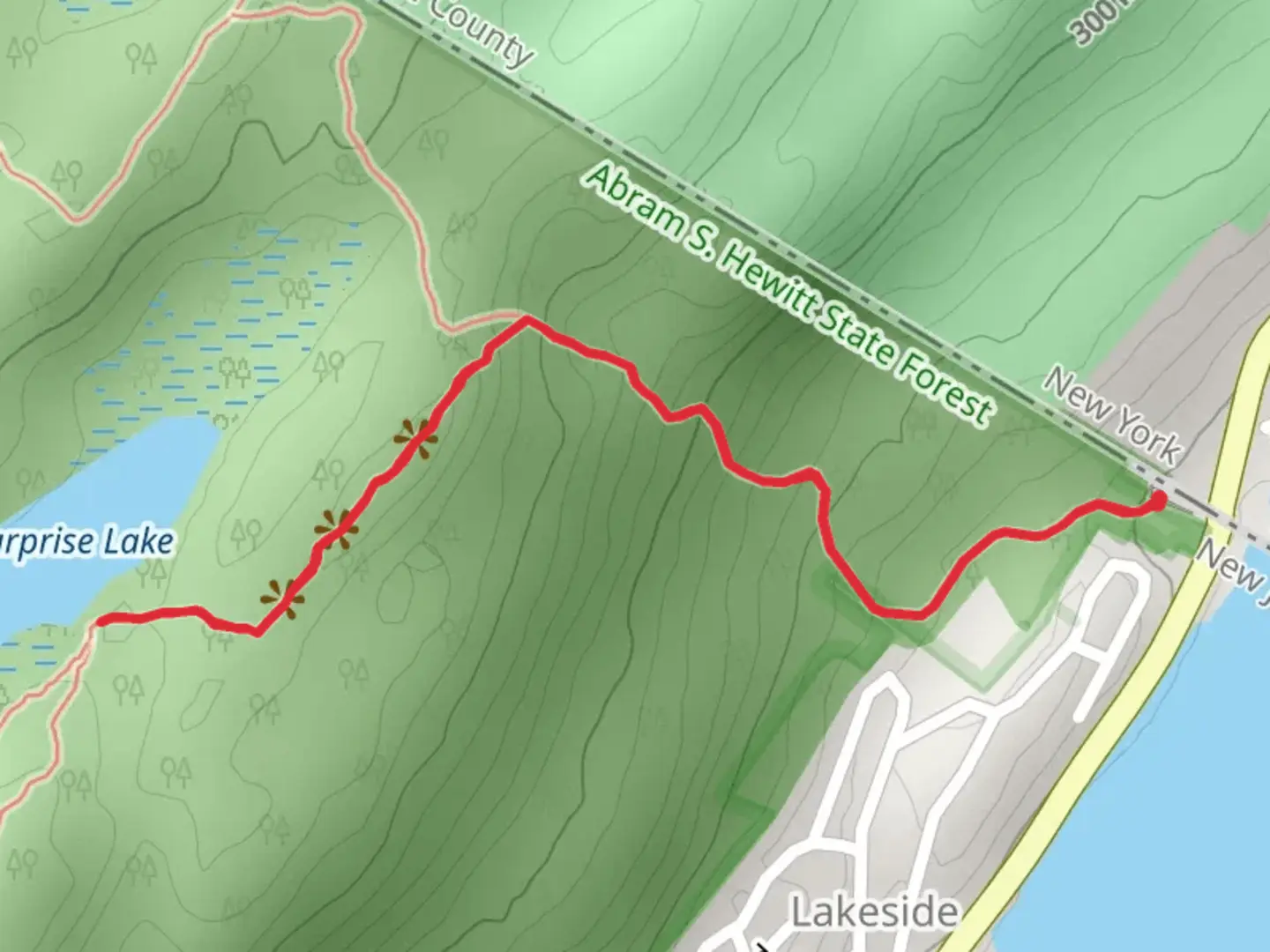 An image depicting the trail Surprise Lake via State Line and Ernest Walter Trail and its surrounding area.
