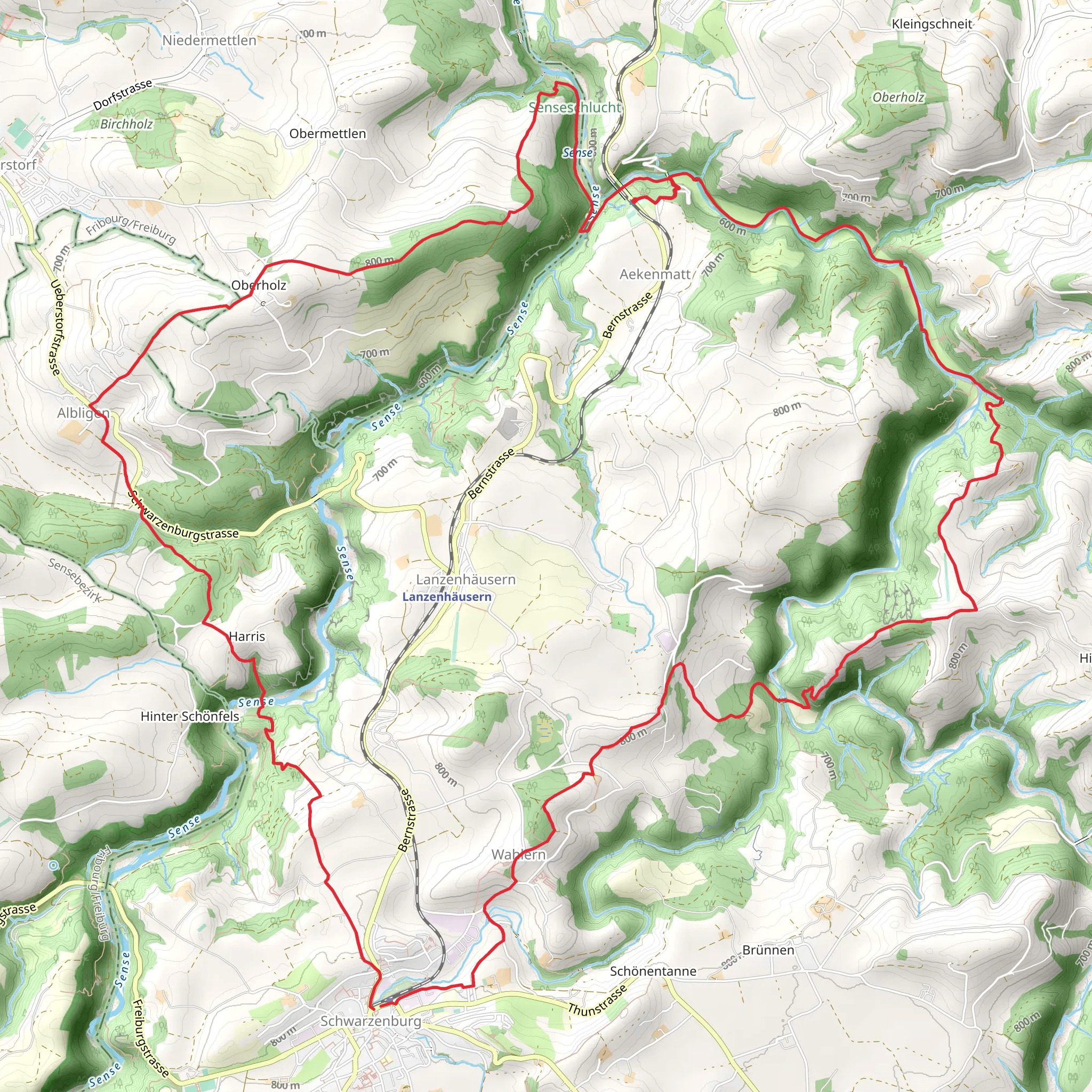 Schwarzwasser-Sense-Schluchtenweg mobile static map