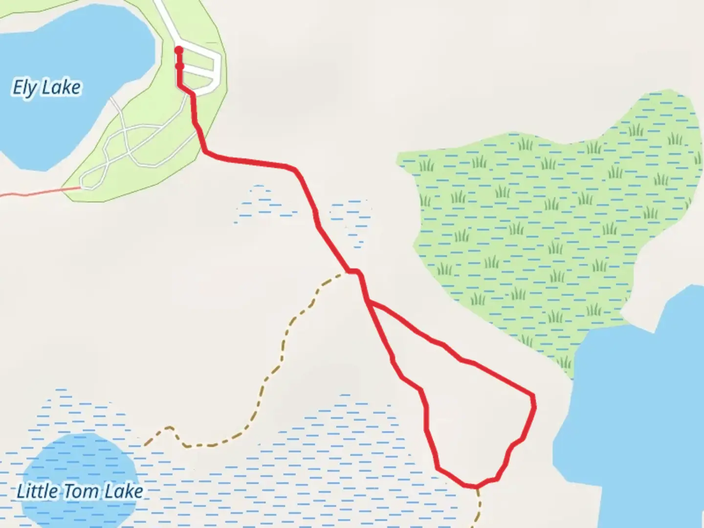 An image depicting the trail Ely Lake Campground Loop and its surrounding area.