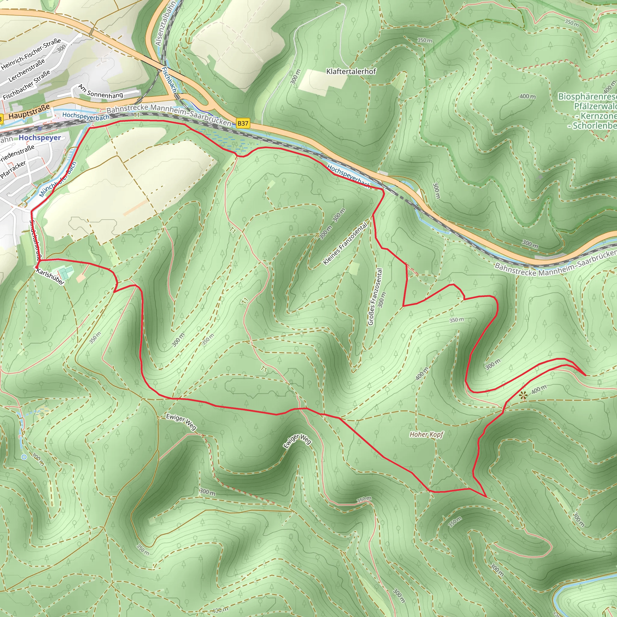 Hoher Kopf and Niederwalder Kopf Loop via Hochsperyer Wanderweg 5 mobile static map