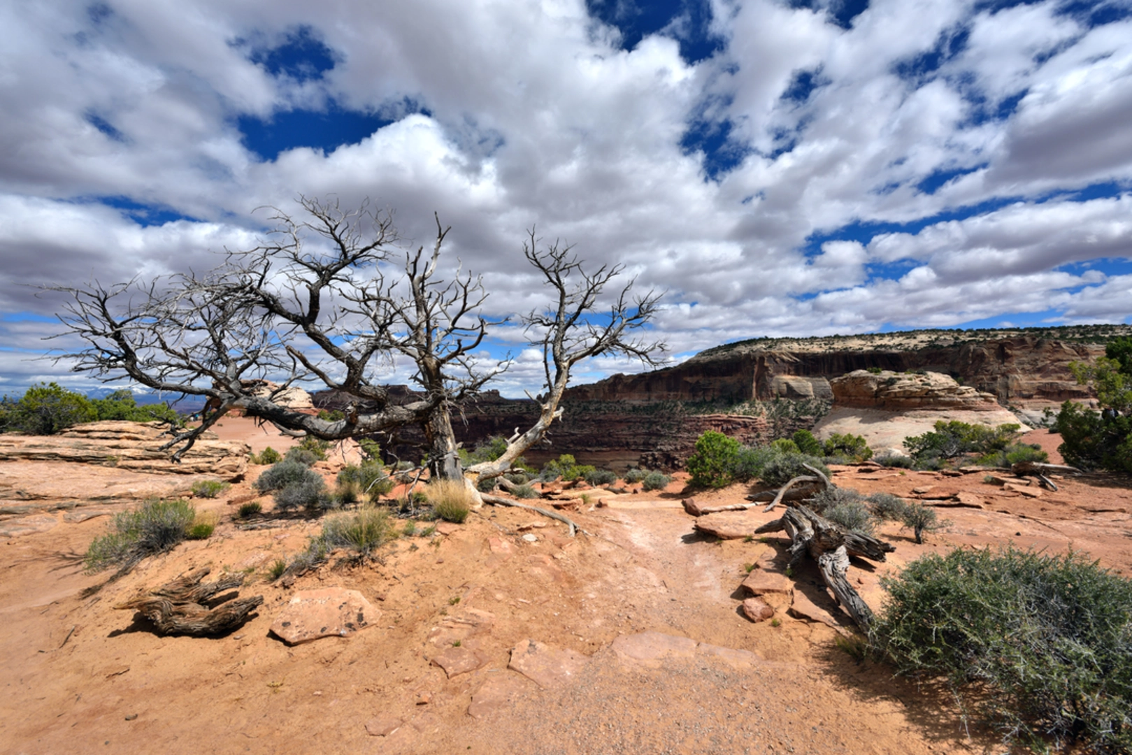 An image depicting the trail Neck Spring Trail and its surrounding area.