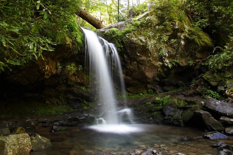 An image depicting the trail Trillium Gap to Grotto Falls Trail and its surrounding area.