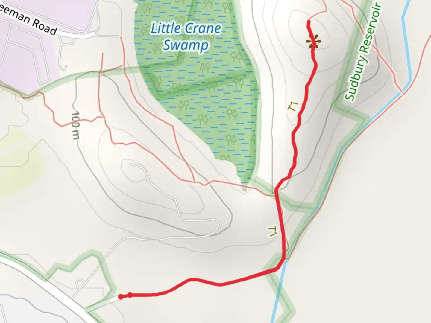 An image depicting the trail Cedar Hill Trail Out and Back and its surrounding area.