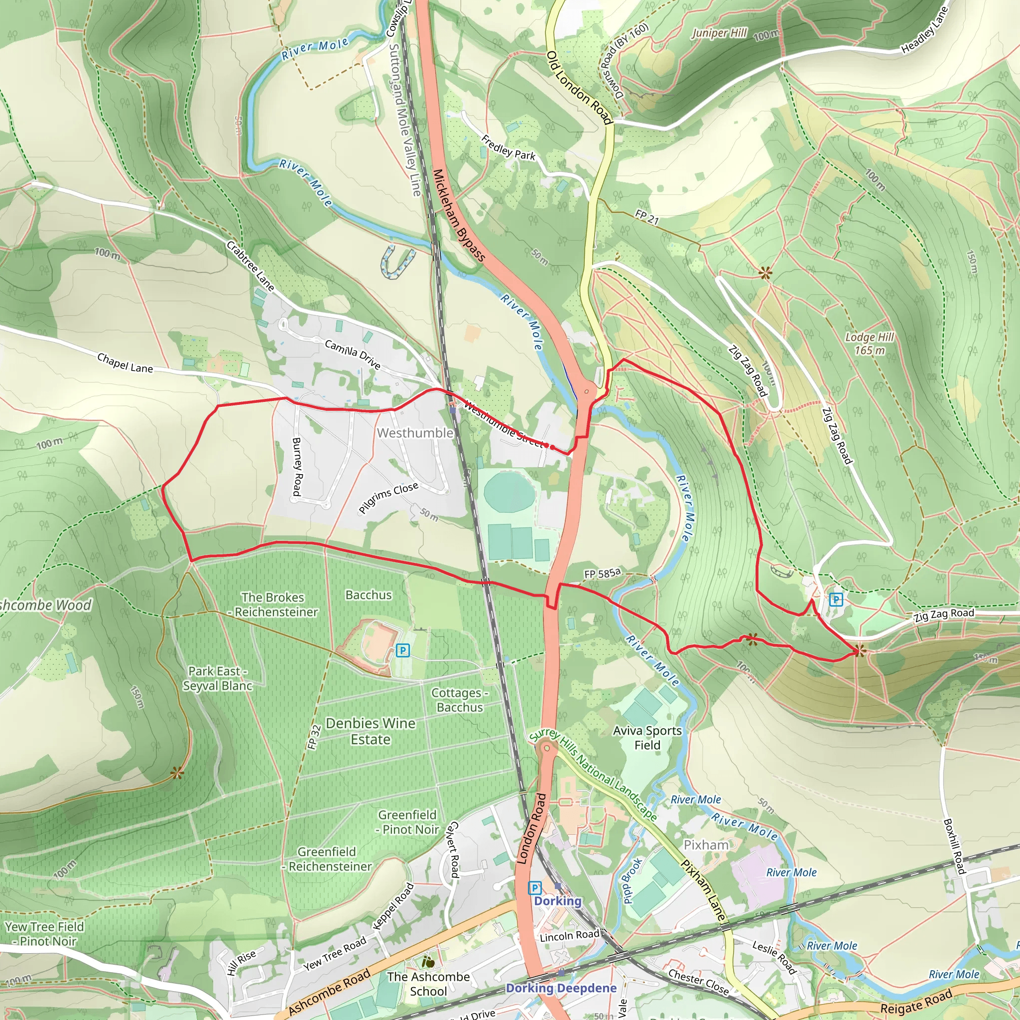 Box Hill, The Whites and Westhumble Loop mobile static map