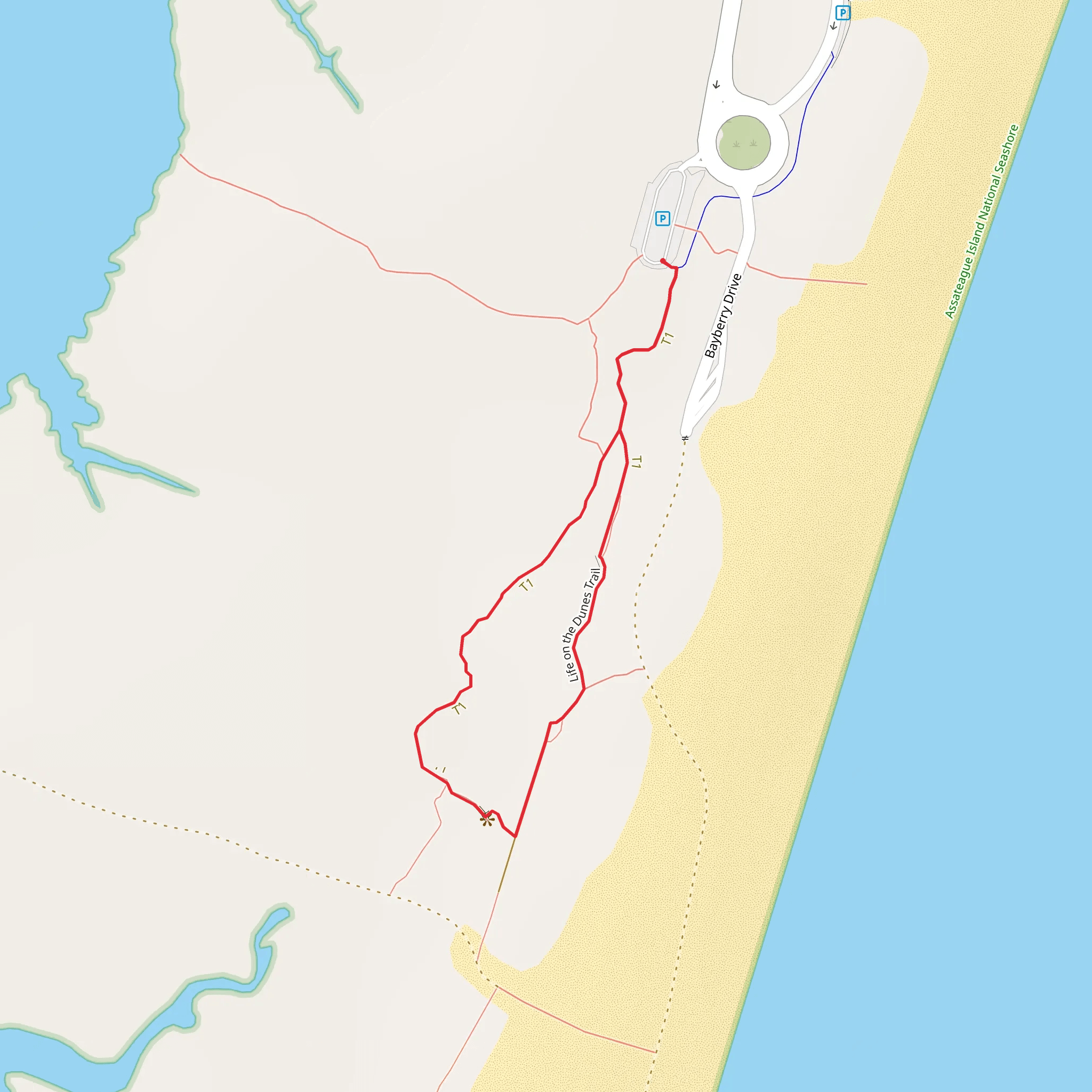 Life on the Dunes Loop Trail mobile static map