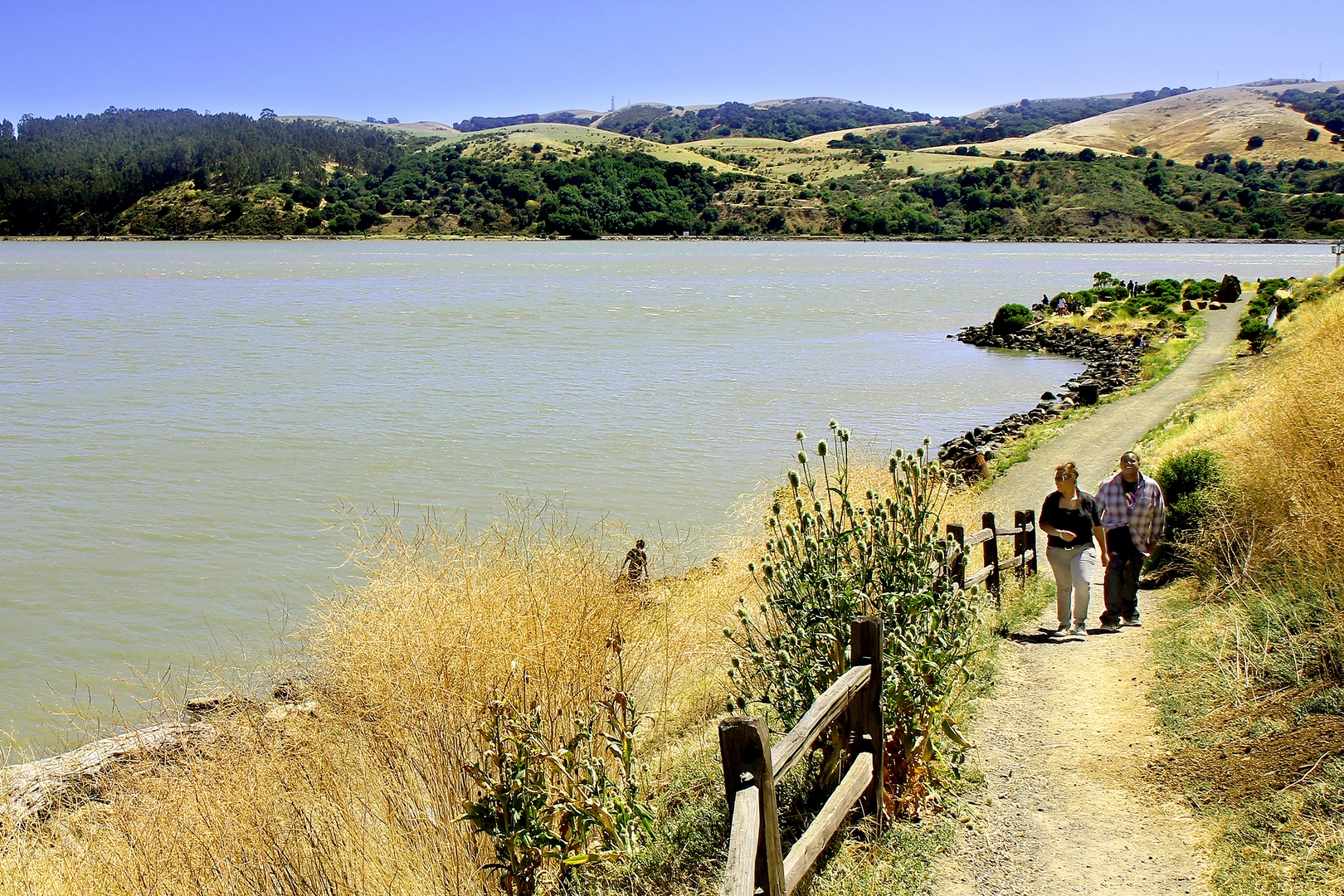 An image depicting the trail Carquinez Strait and San Francisco Bay Loop Trail and its surrounding area.