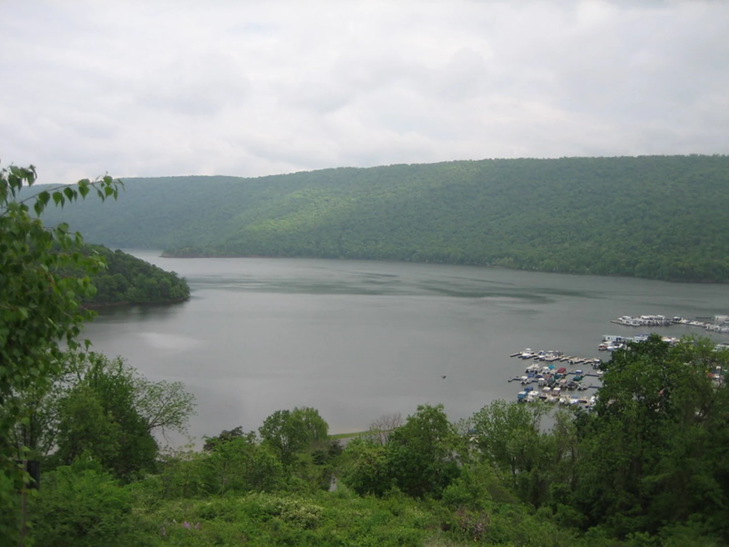 An image depicting the trail Walkers Hollow Loop Trail and its surrounding area.
