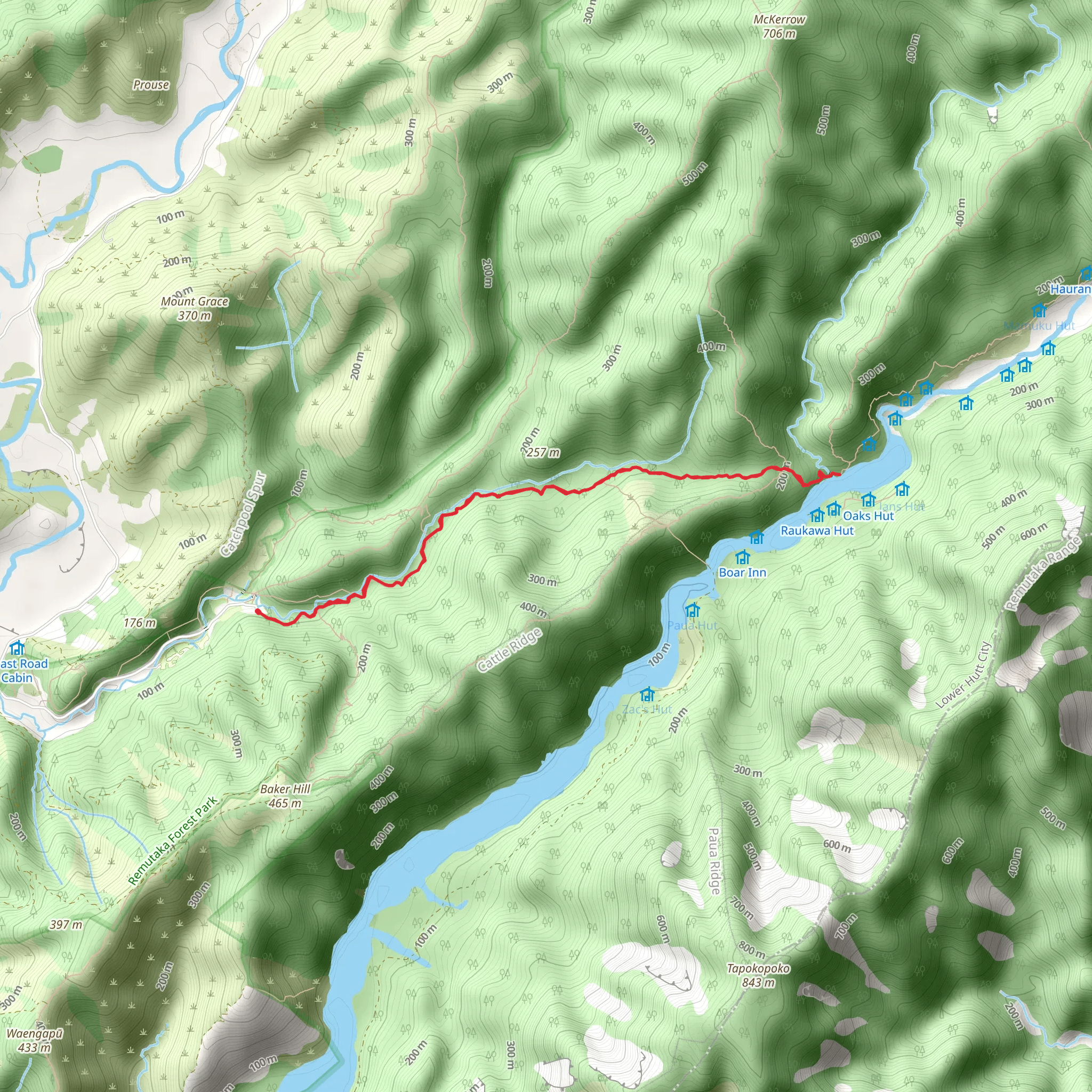 Ōrongorongo Track mobile static map