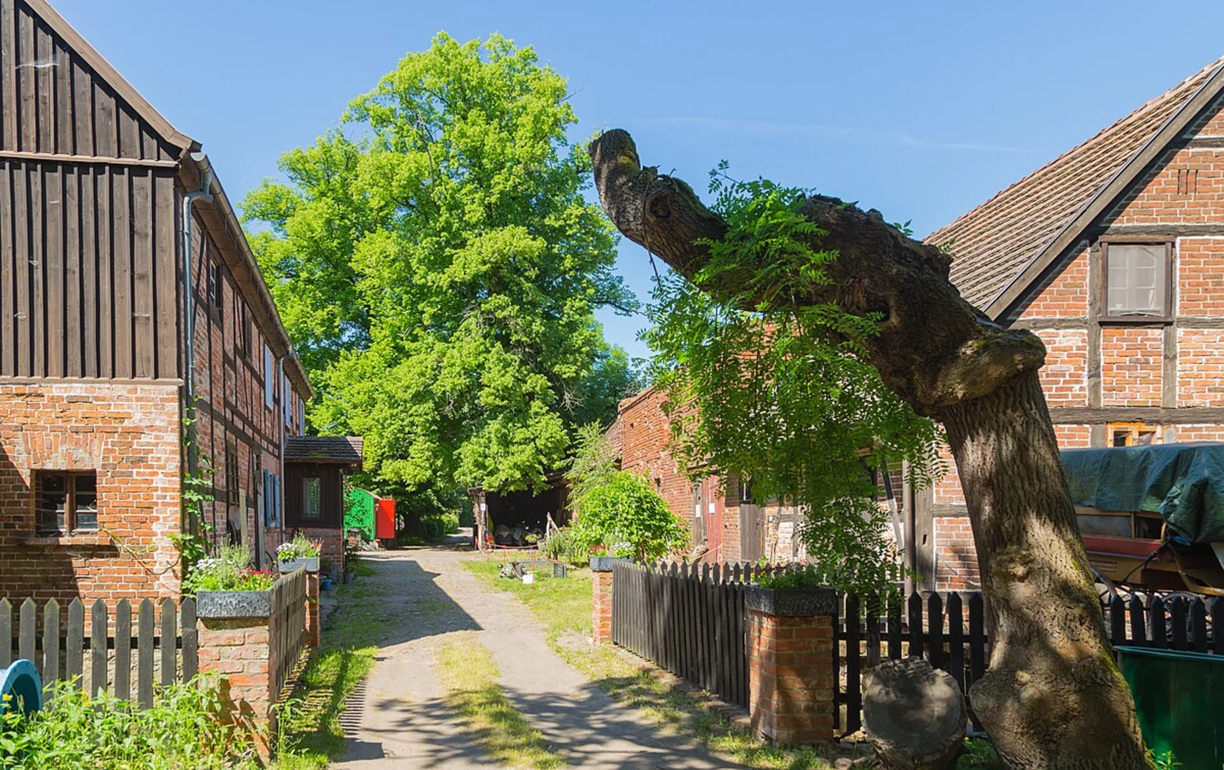 An image depicting the trail Wassermuhle Loop via Rundwanderweg Schmogrow and its surrounding area.