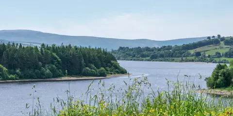 An image depicting the trail Blessington Greenway and its surrounding area.