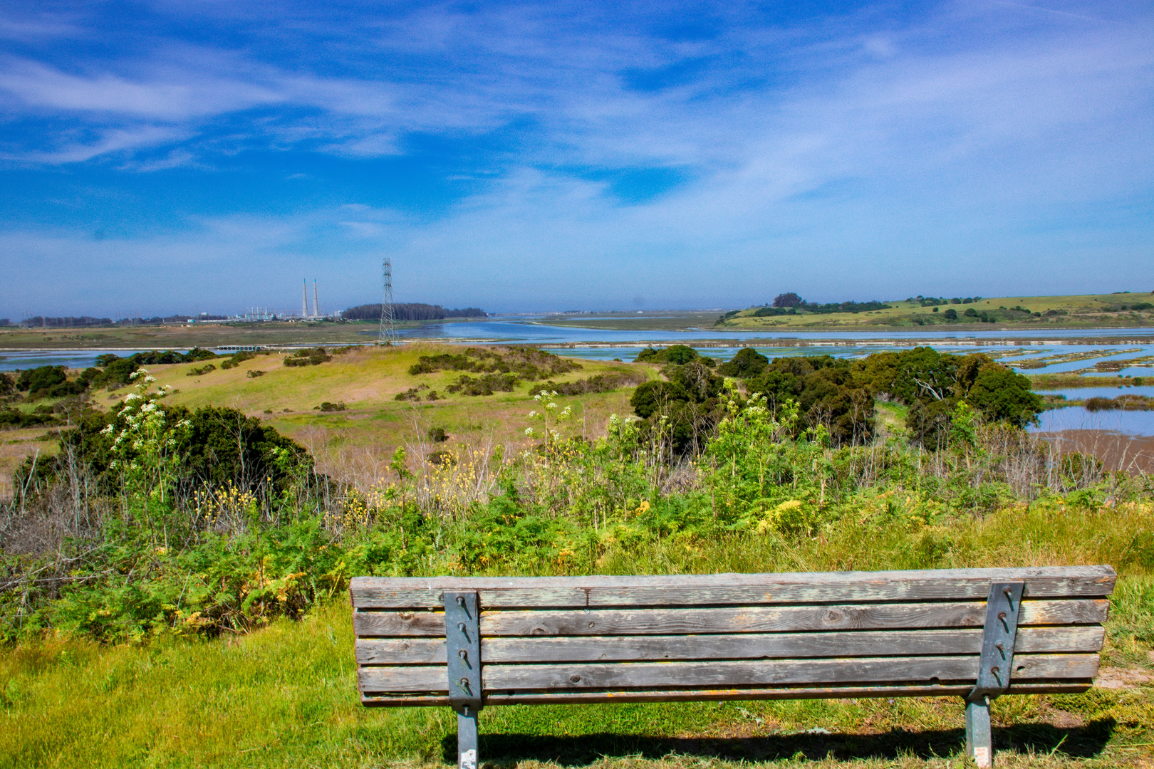 An image depicting the trail Long Valley Loop Trail and South Marsh Loop Trail and its surrounding area.