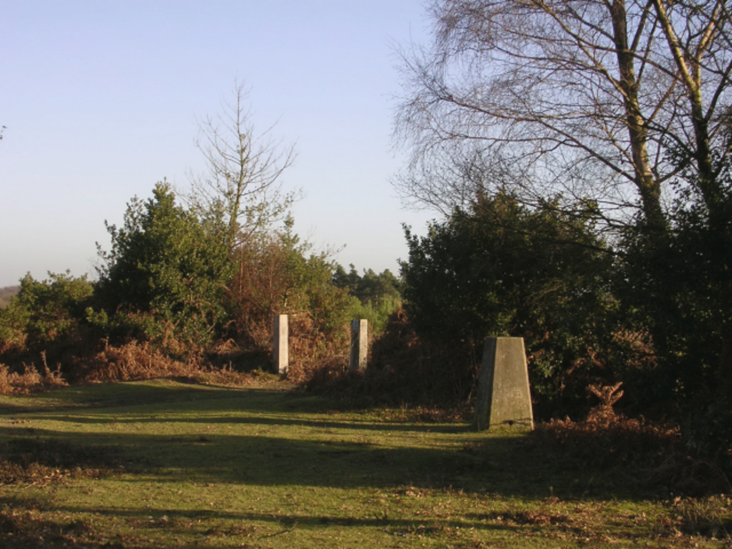 An image depicting the trail Hart Hill and Puckpits Pound Loop and its surrounding area.