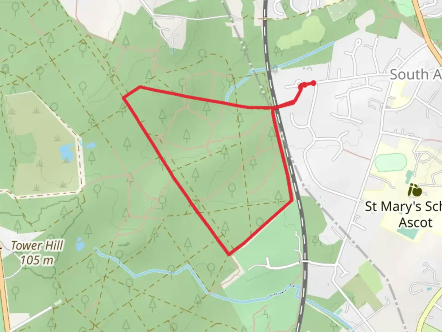 An image depicting the trail Buttersteep Forest Loop and its surrounding area.