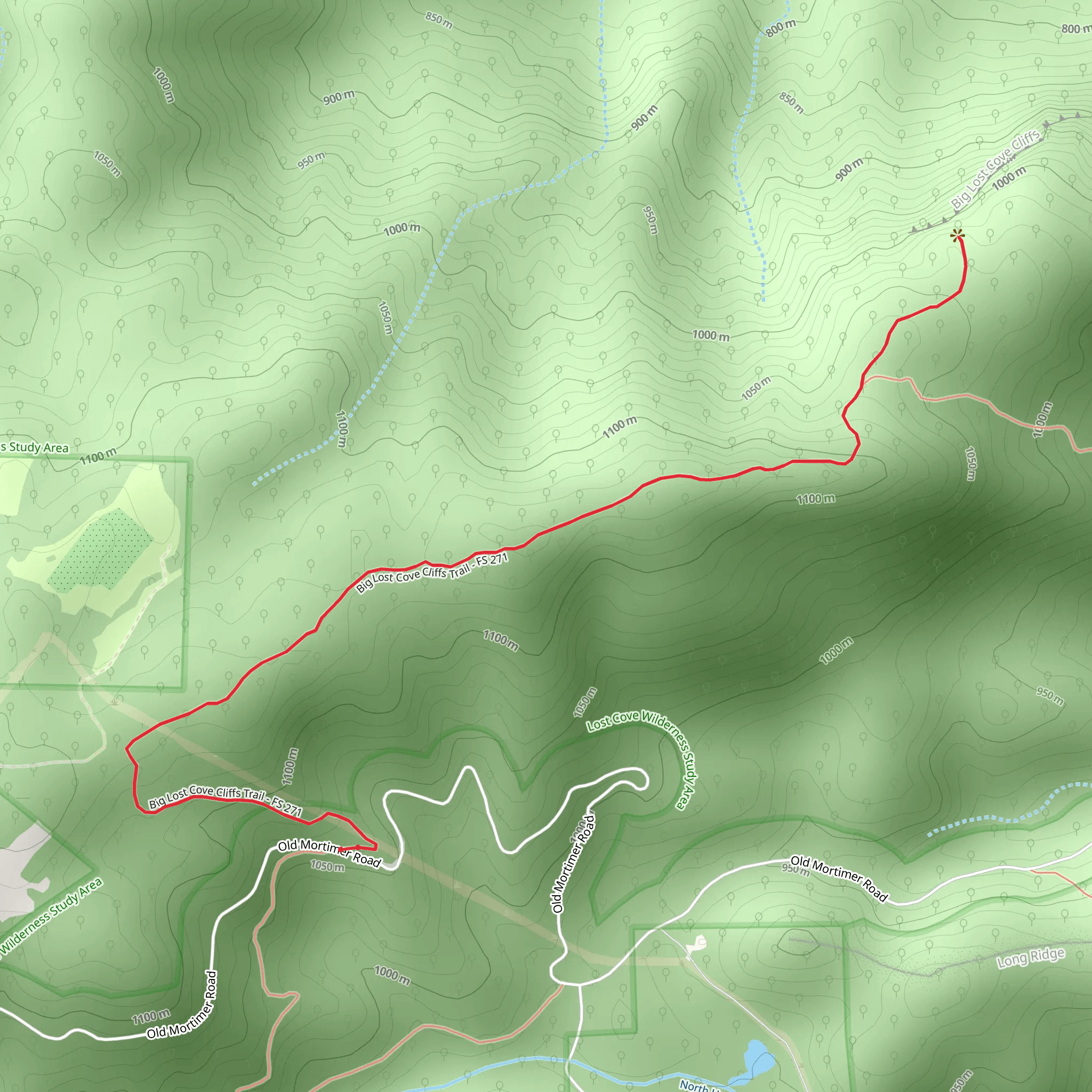 Big Lost Cove Cliffs Trail mobile static map
