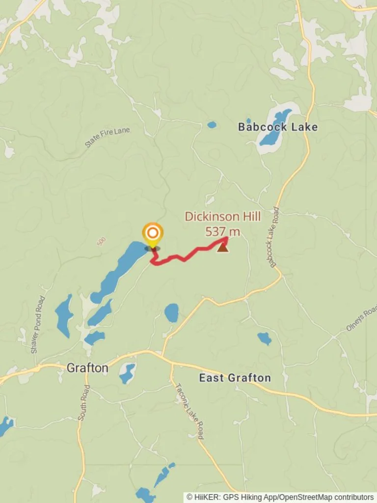 An image depicting the trail Dickinson Hill via Fire Tower Trail and its surrounding area.