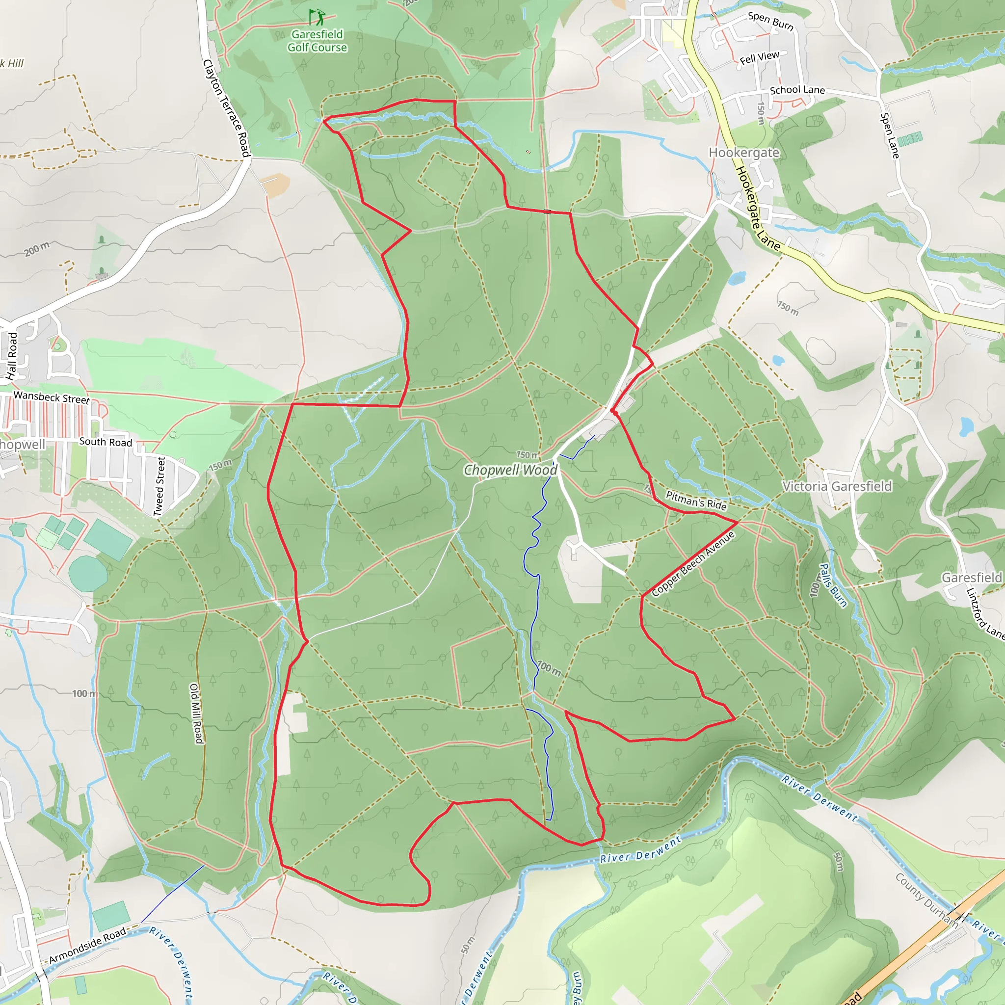 Chopwell Woodland Park - Forestry Loop mobile static map