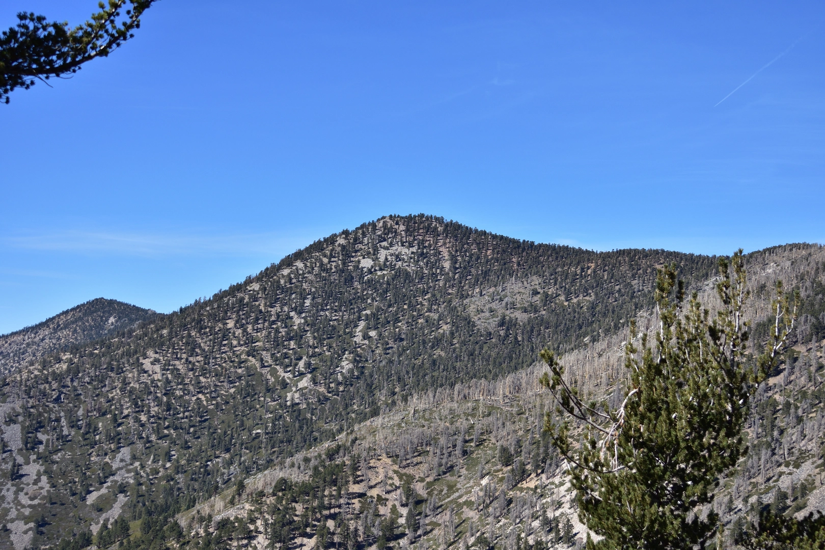 An image depicting the trail Anderson Peak via Forsee Creek Trail and its surrounding area.