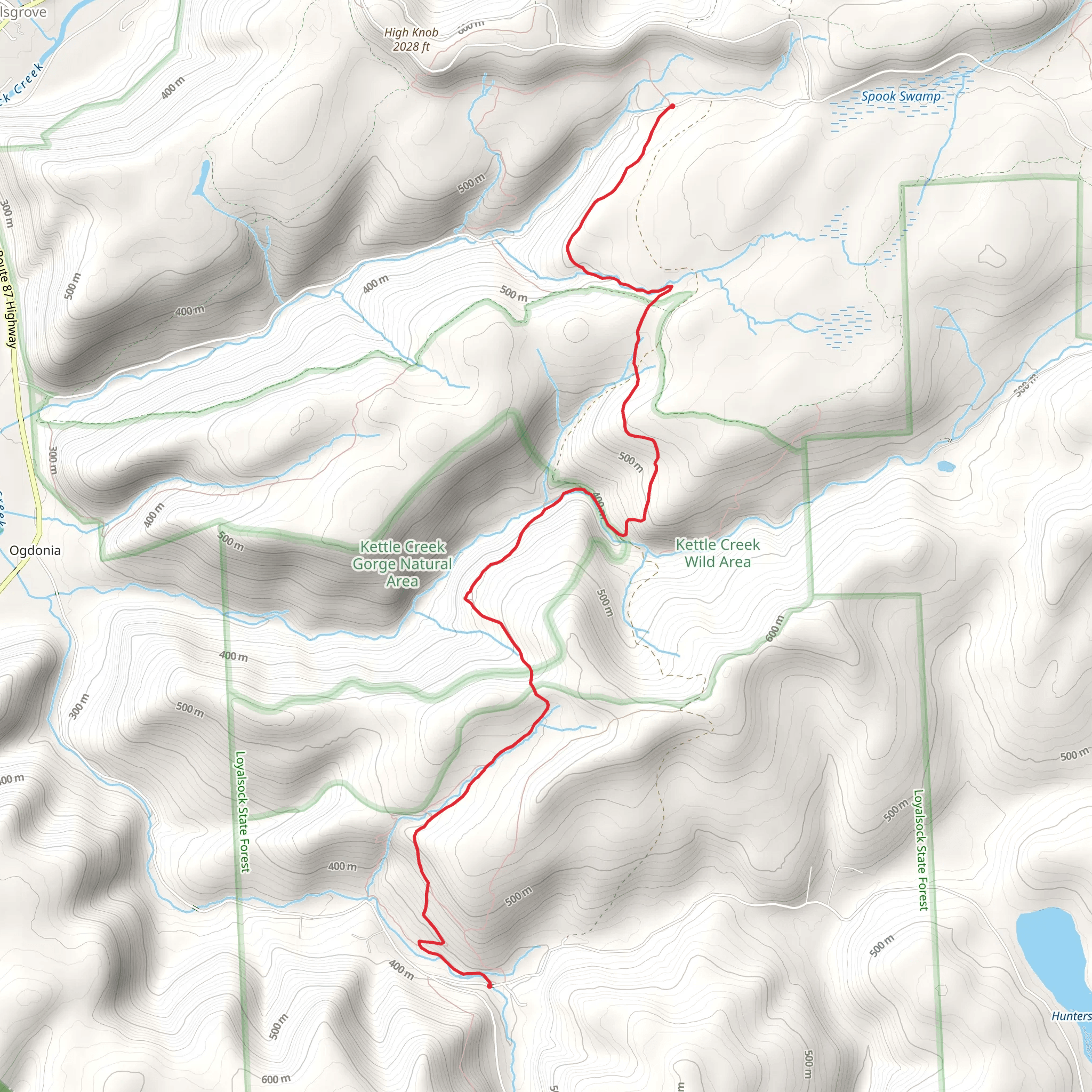Brunnerdale Road to Forest Road Trail via Loyalsock Trail mobile static map