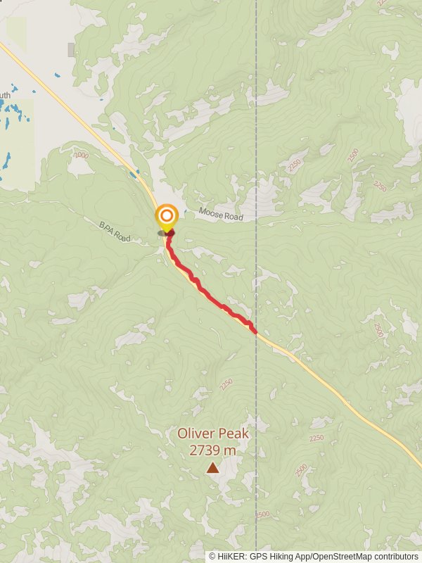 Rush Hour Walk mobile static map