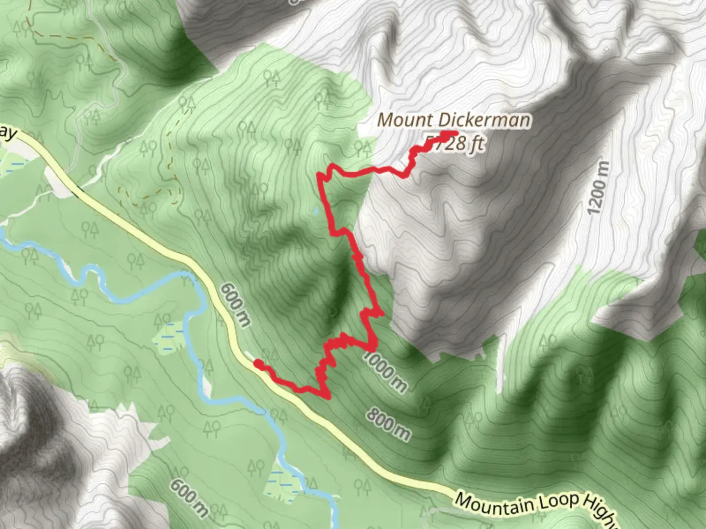 An image depicting the trail Mount Dickerman Trail and its surrounding area.