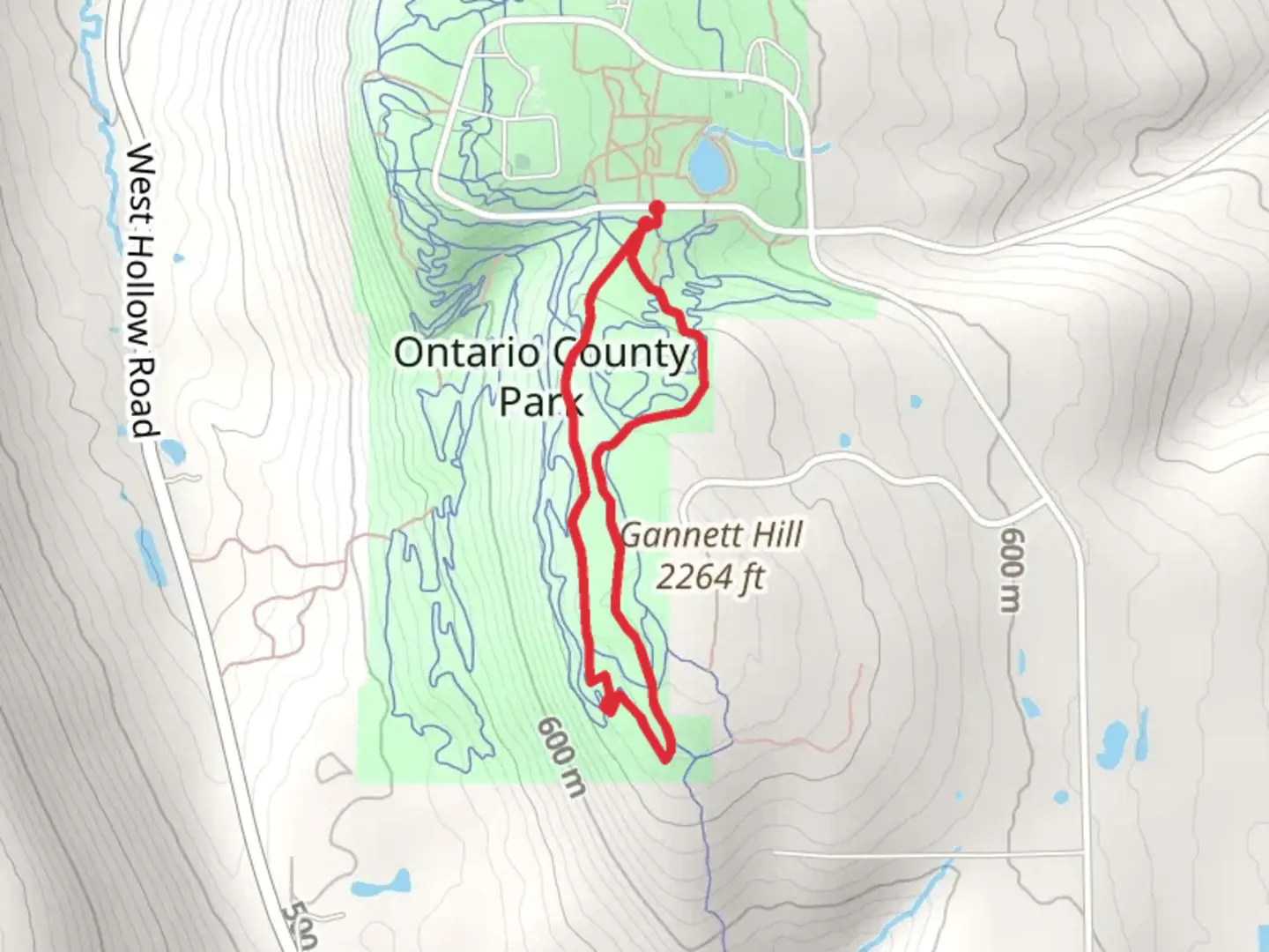 An image depicting the trail Gannett Hill - Ontario County Park Loop and its surrounding area.