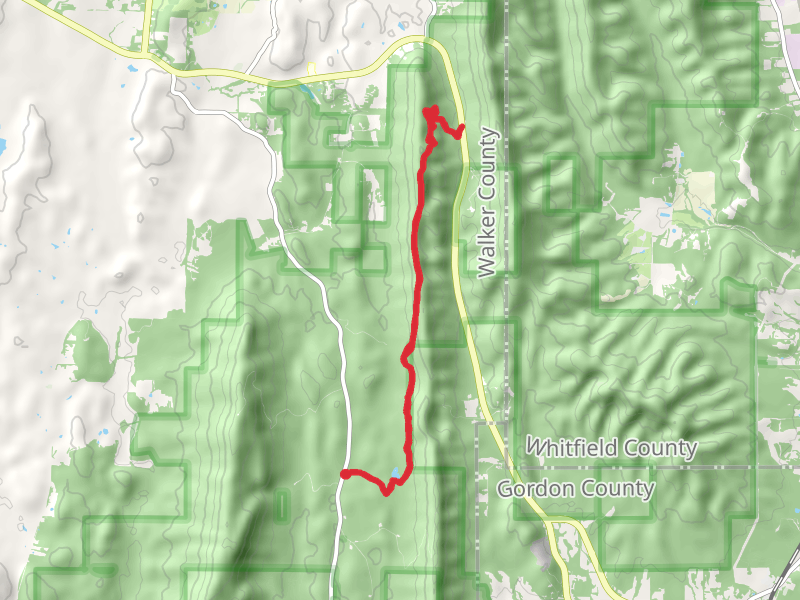 Pinhoti Trail from Pocket Road to Snake Creek Gap