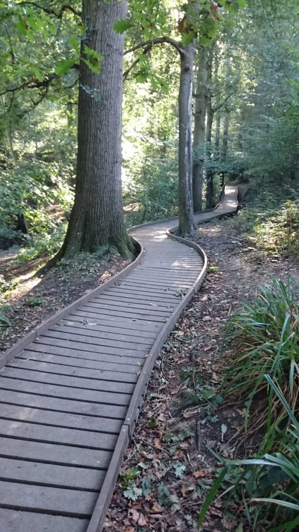 An image depicting the trail Penshurst and Chiddingstone Loop and its surrounding area.
