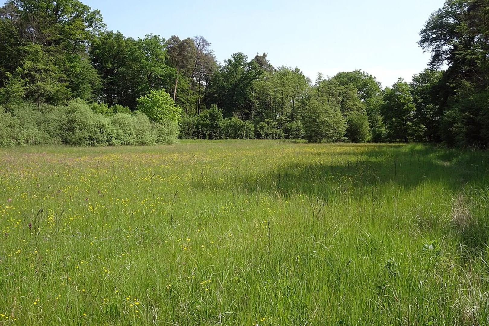 An image depicting the trail Strohhauerteich via Ried Main Weg and Kernschnneise and its surrounding area.