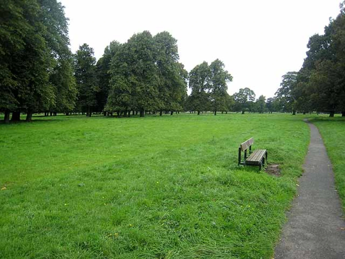An image depicting the trail Rickerby Park Loop and its surrounding area.