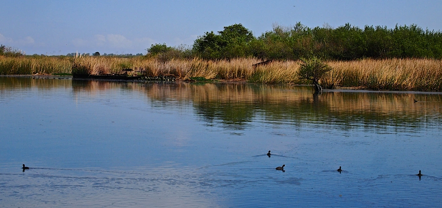 Levee Top - Big Break - Marsh Creek Trail