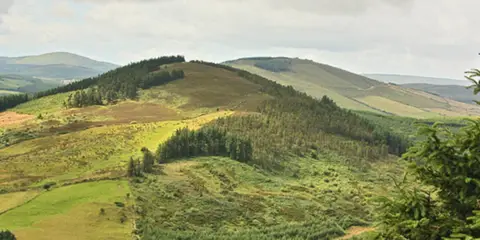 An image depicting the trail Ormond Way and its surrounding area.