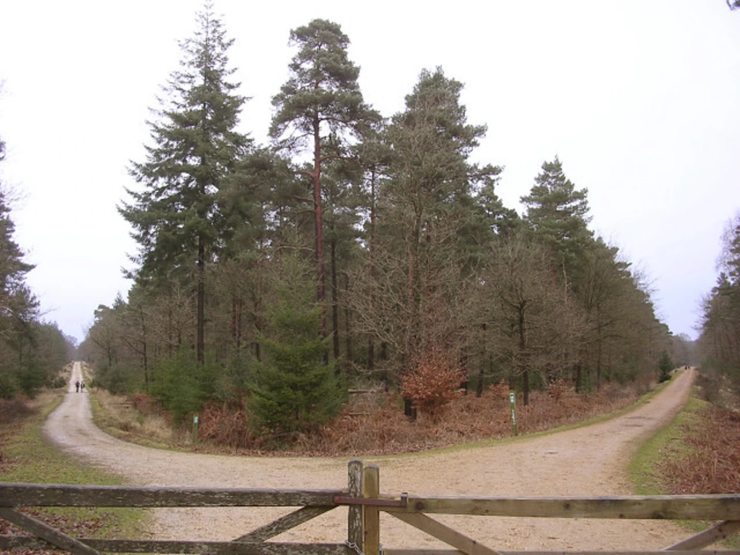 An image depicting the trail Standing Hat Loop and its surrounding area.